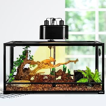 Amazon.com: REPTI ZOO 100W Reptile Heat Lamp UVA UVB Reptile